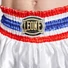 Kép 6/7 - Leone THAI STYLE thaibox nadrág